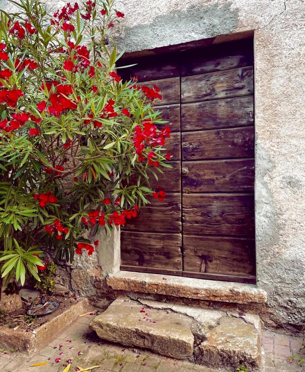 Agriturismo La Vecchia Chioderia Grandola ed Uniti Exterior photo