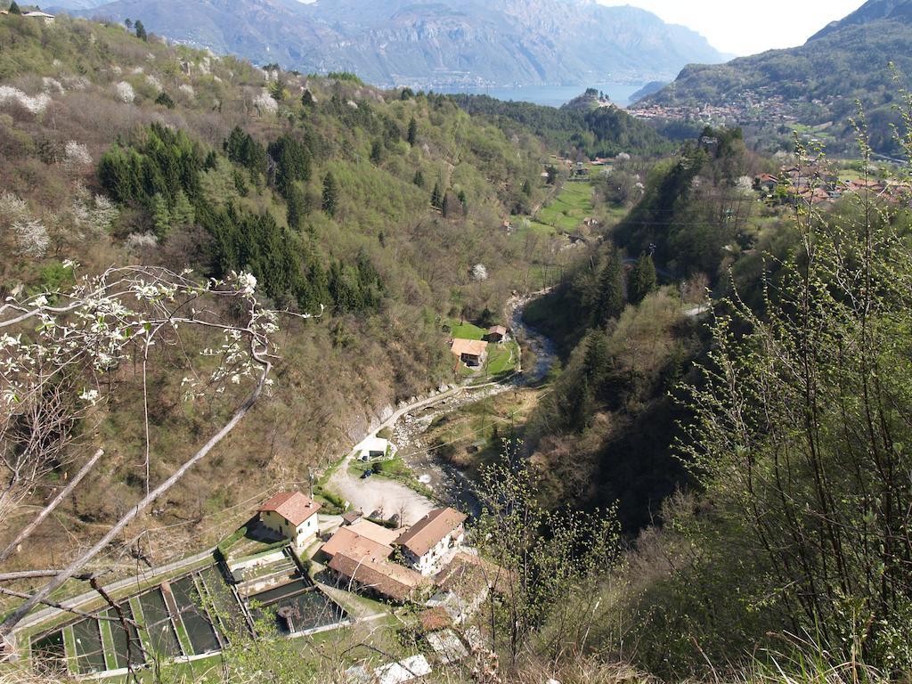 Agriturismo La Vecchia Chioderia Grandola ed Uniti Exterior photo